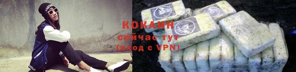 дмт Касимов