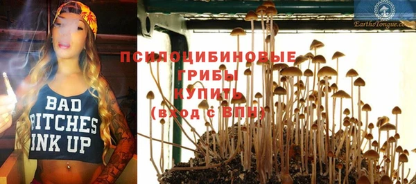 дмт Касимов
