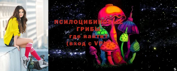дмт Касимов